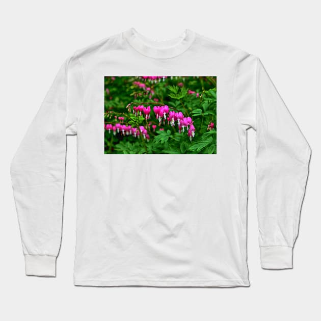 Bleeding Heart Flowers Long Sleeve T-Shirt by JimDeFazioPhotography